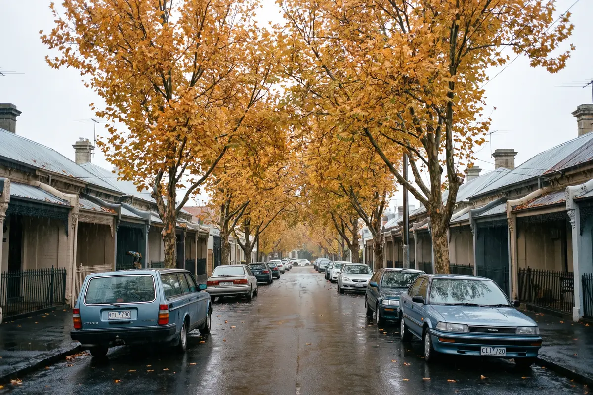 A leafy inner Melbourne street in autumn with plane trees turning gold above parked cars and single fronted Victorian cottages